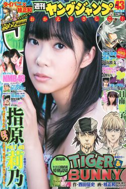 宝莲灯 电影